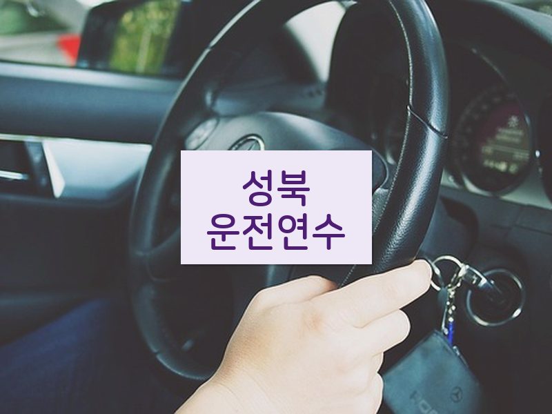 성북운전연수 후기