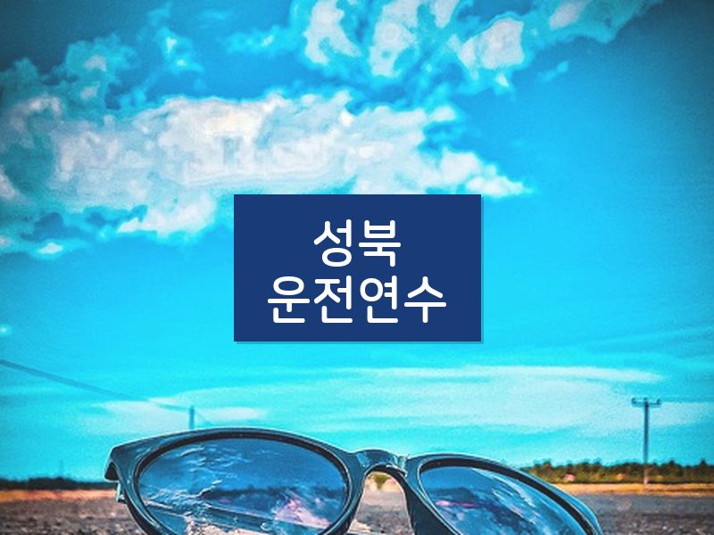 성북운전연수 후기