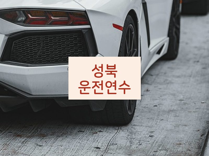 성북운전연수 후기