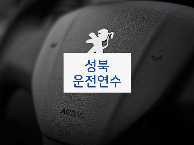 성북운전연수 후기