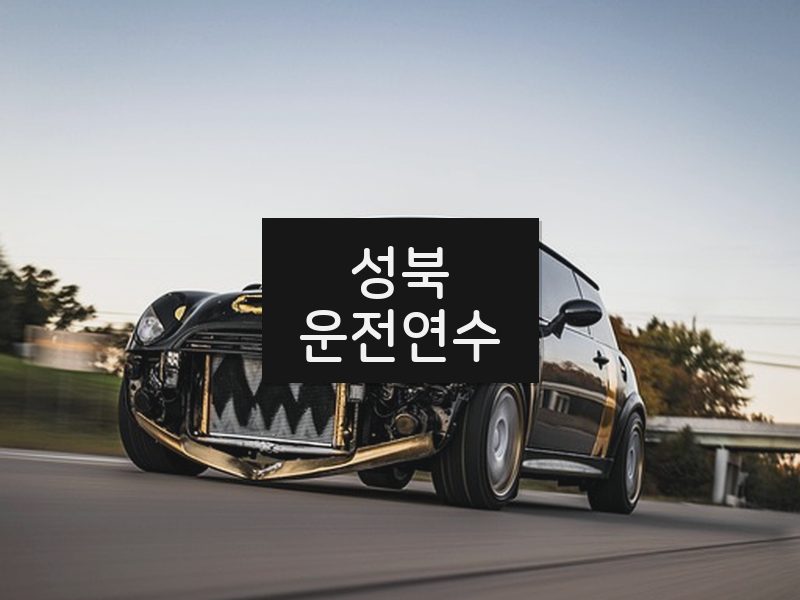 성북운전연수 후기