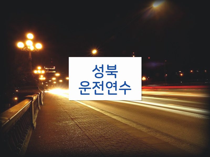 성북운전연수 후기