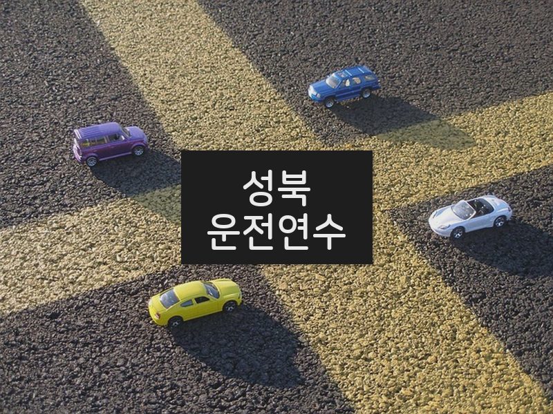 성북운전연수 후기