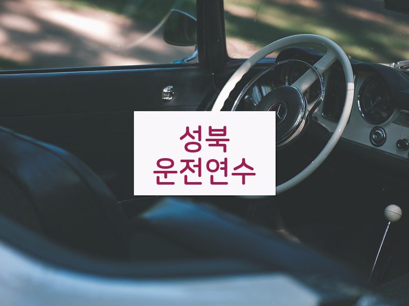 성북운전연수 후기