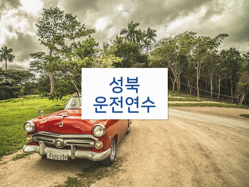 성북운전연수 후기