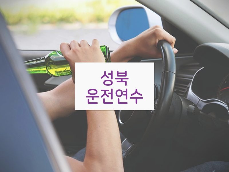 성북운전연수 후기