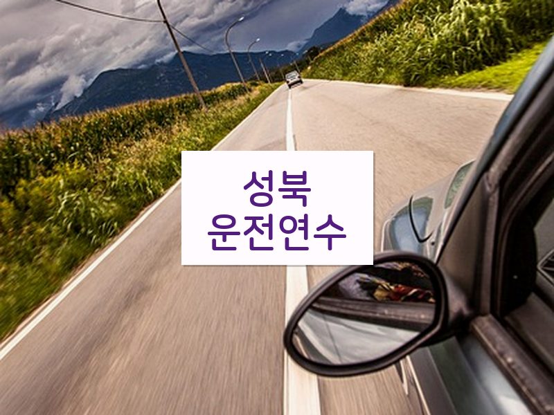 성북운전연수 후기