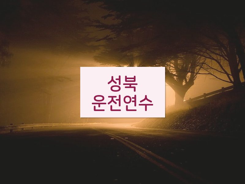 성북운전연수 후기