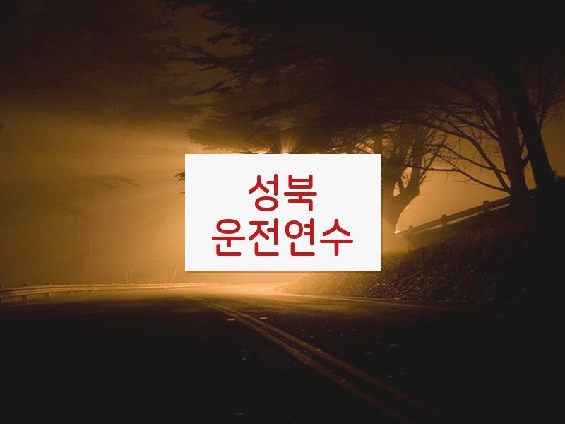 성북운전연수 후기