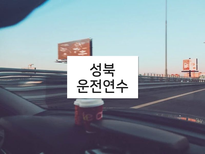 성북운전연수 후기