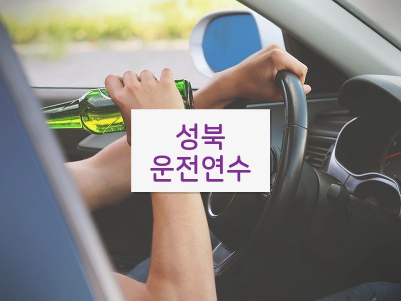 성북운전연수 후기