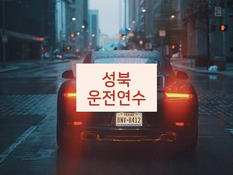 성북운전연수 후기