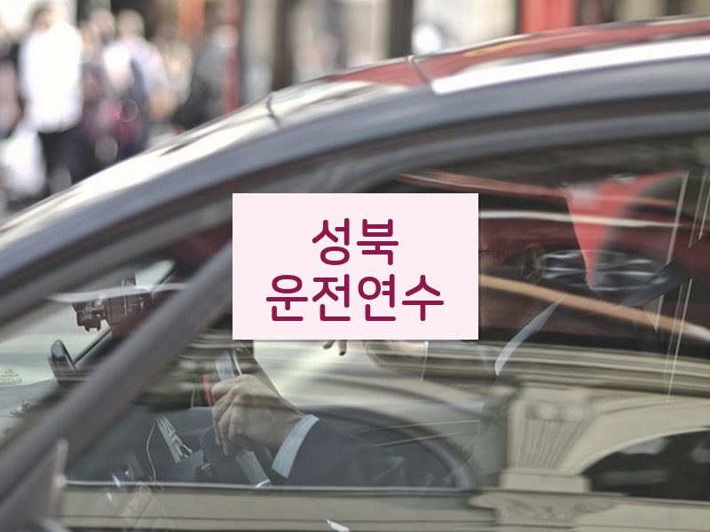 성북운전연수 후기