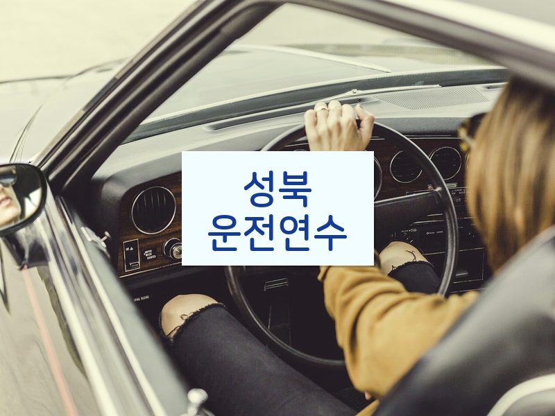 성북운전연수 후기