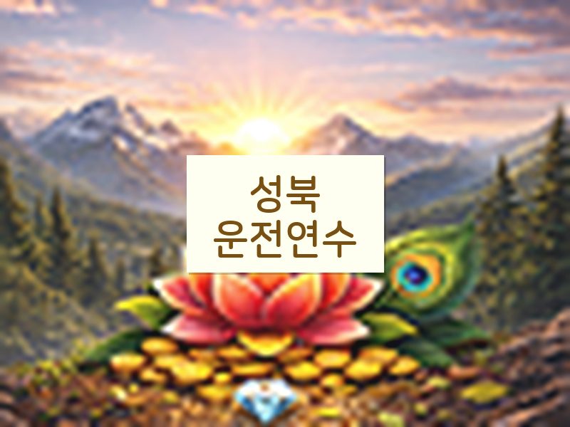 성북운전연수 후기