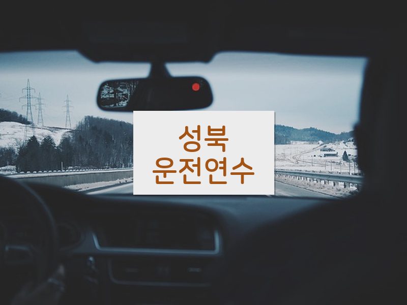 성북운전연수 후기