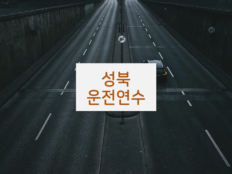 성북운전연수 후기