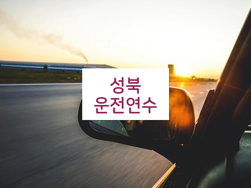 성북운전연수 후기
