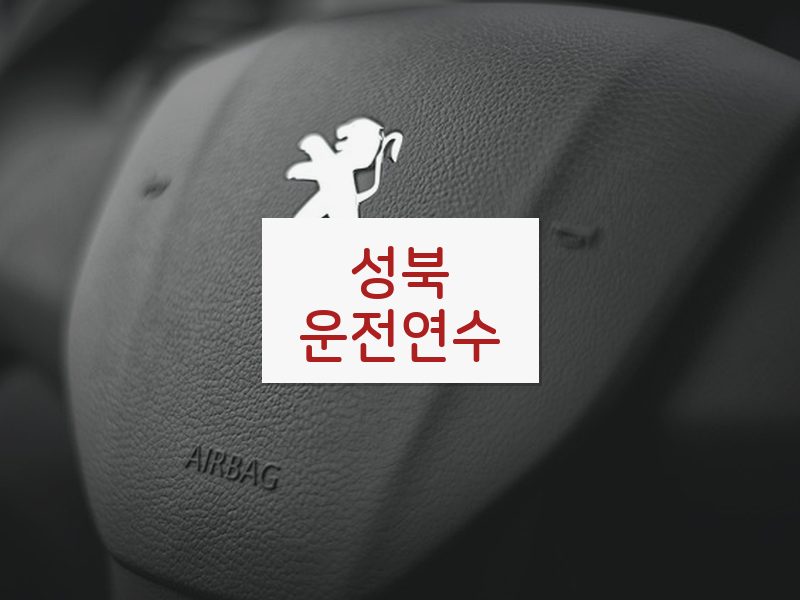 성북운전연수 후기
