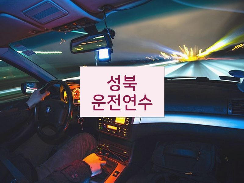 성북운전연수 후기