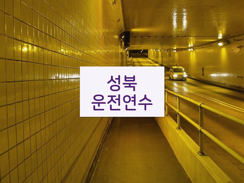 성북운전연수 후기