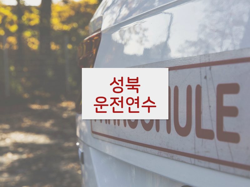 성북운전연수 후기