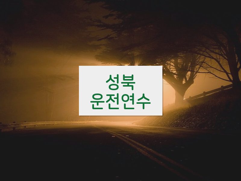 성북운전연수 후기