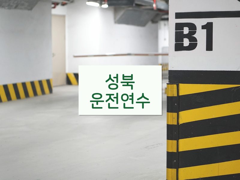 성북운전연수 후기