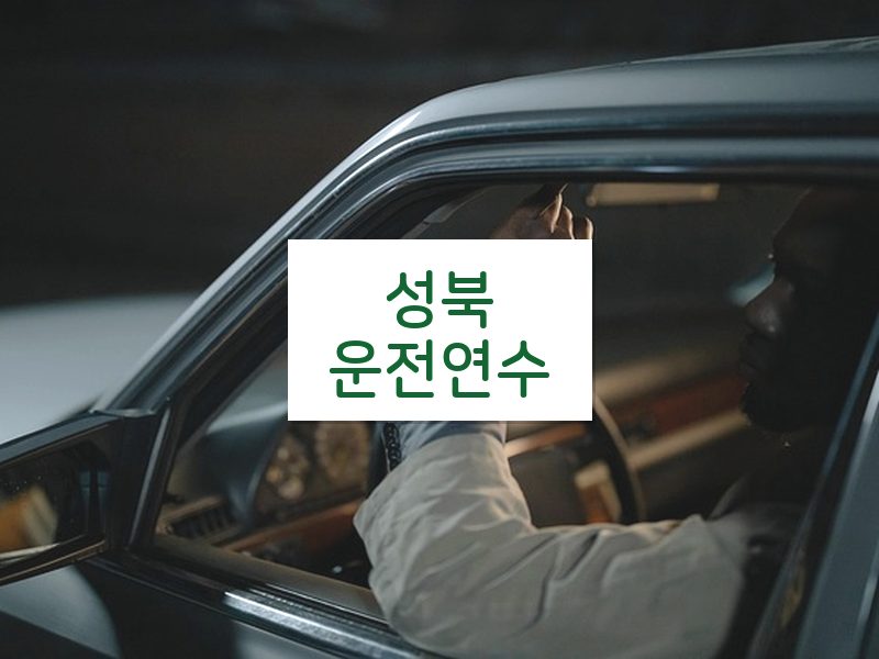 성북운전연수 후기