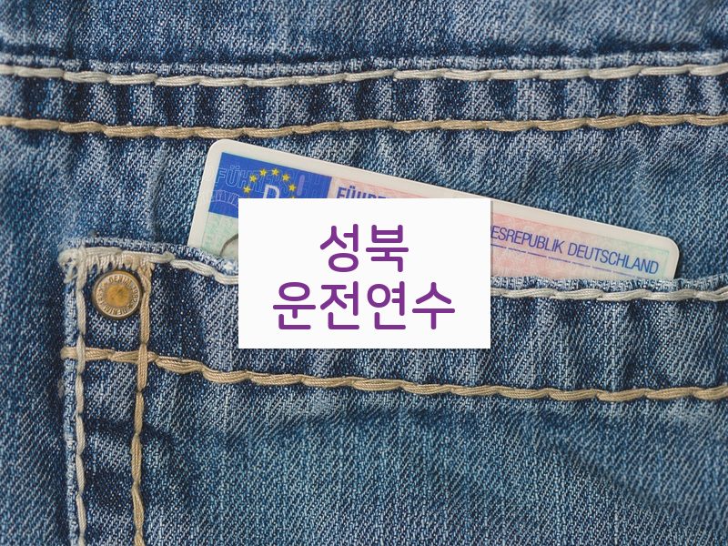성북운전연수 후기