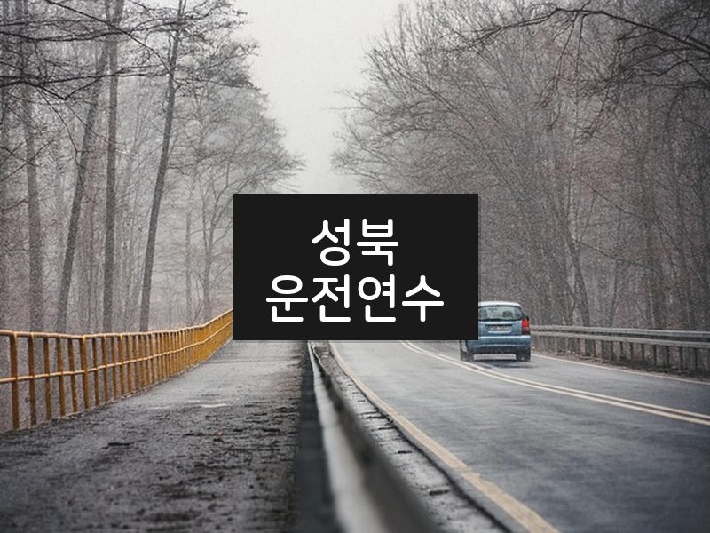 성북운전연수 후기