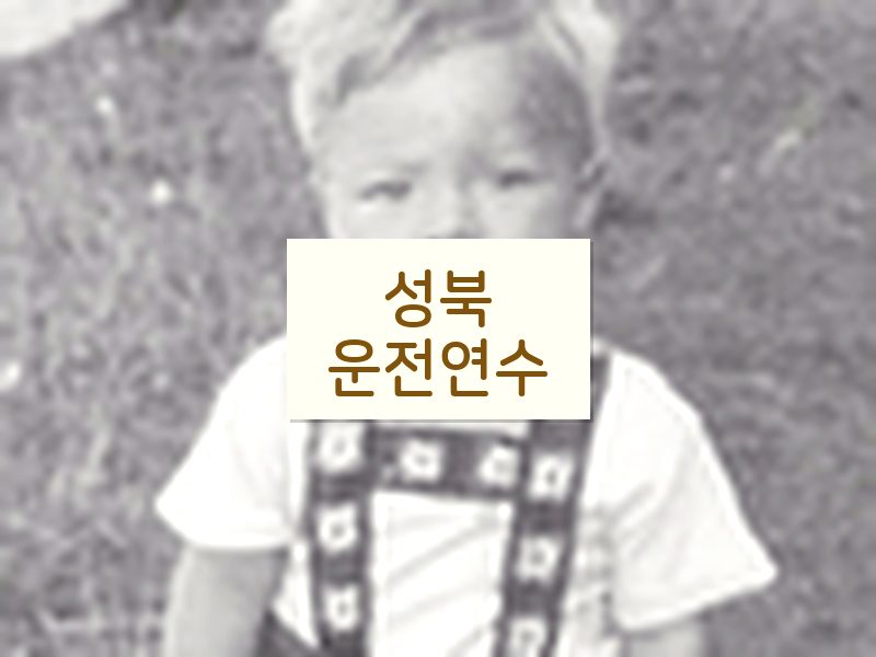 성북운전연수 후기