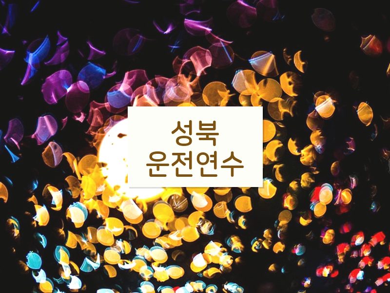 성북운전연수 후기