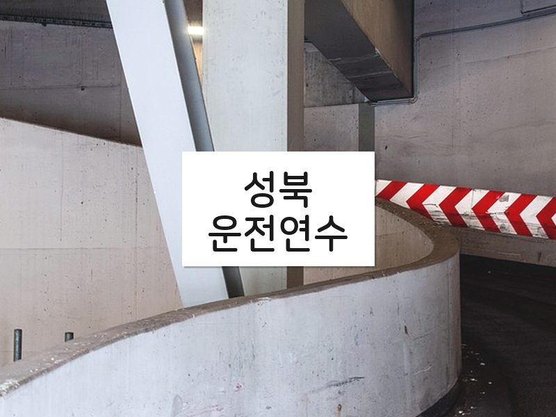 성북운전연수 후기