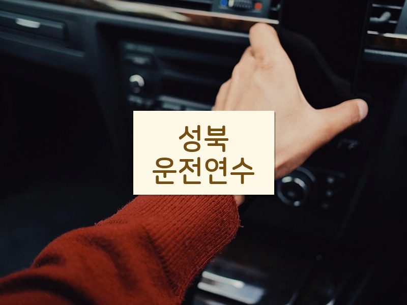 성북운전연수 후기