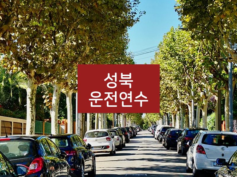 성북운전연수 후기