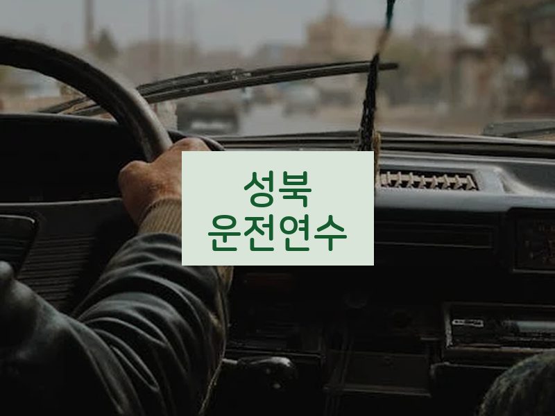 성북운전연수 후기