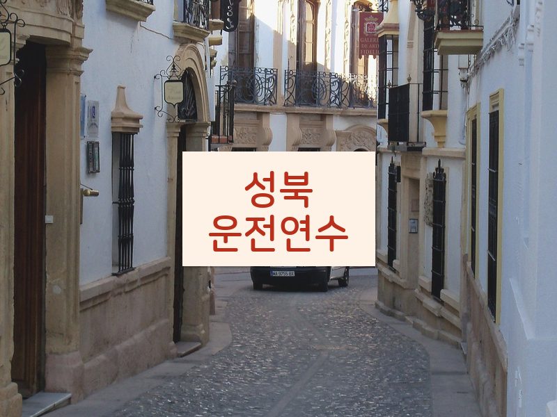 성북운전연수 후기