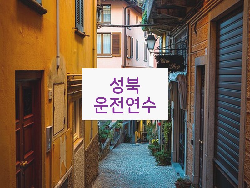 성북운전연수 후기