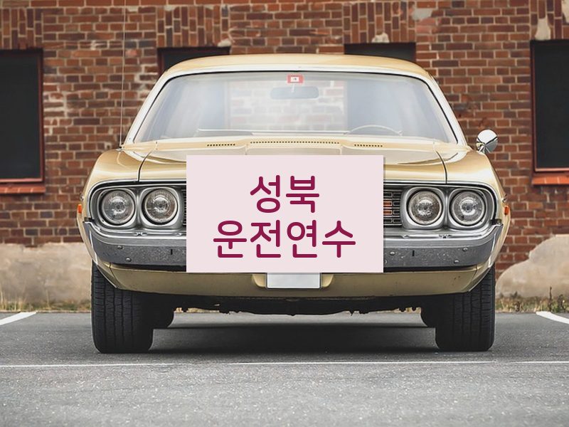 성북운전연수 후기