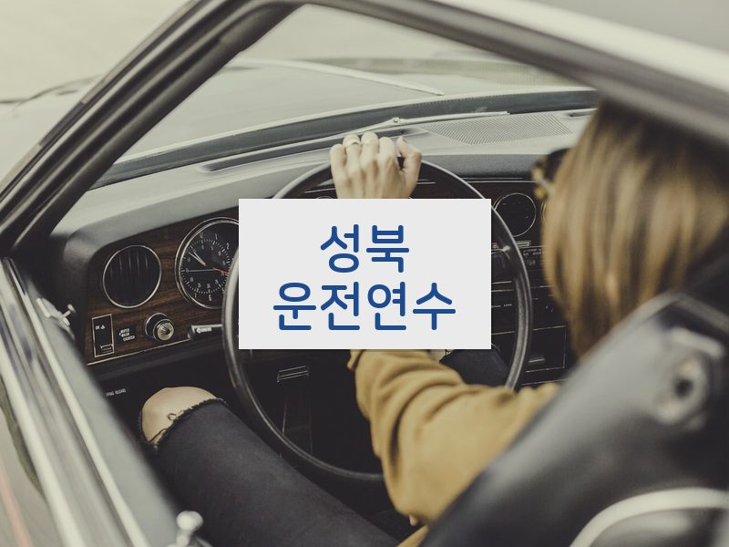 성북운전연수 후기