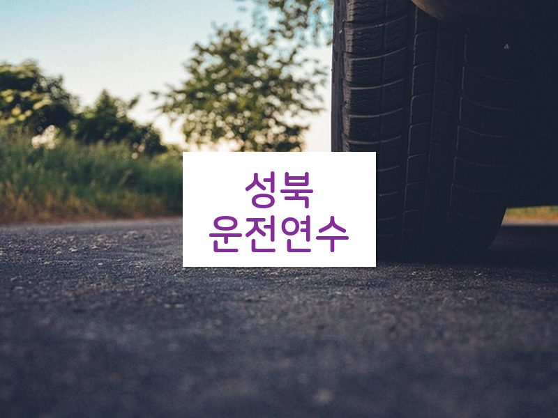 성북운전연수 후기