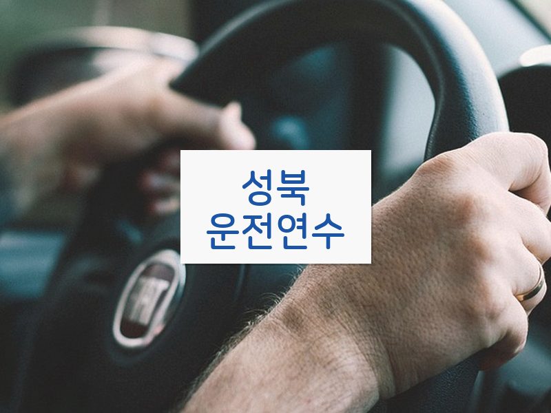 성북운전연수 후기