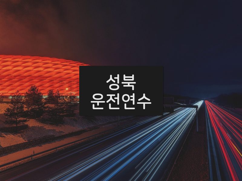 성북운전연수 후기
