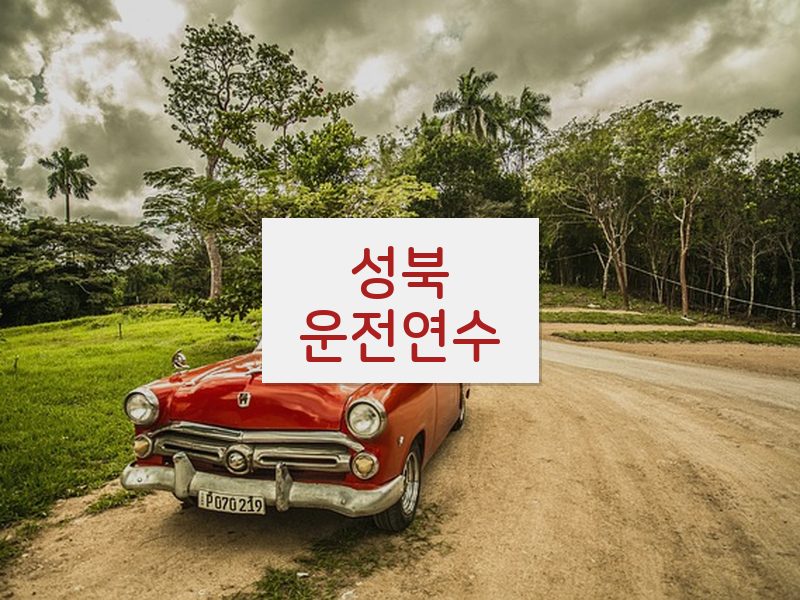성북운전연수 후기