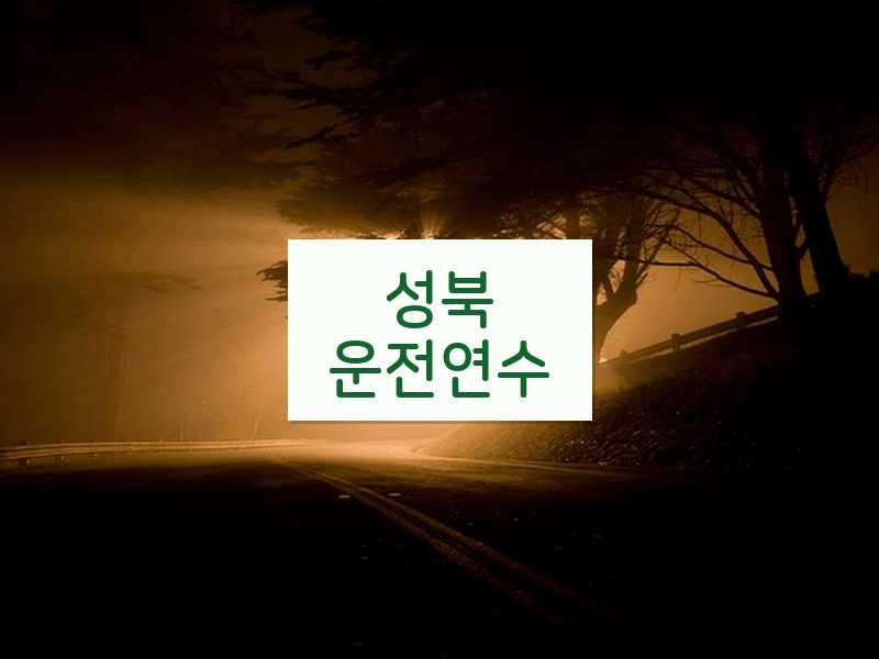 성북운전연수 후기