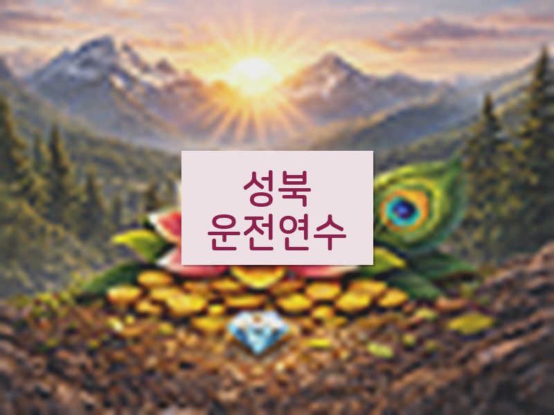 성북운전연수 후기