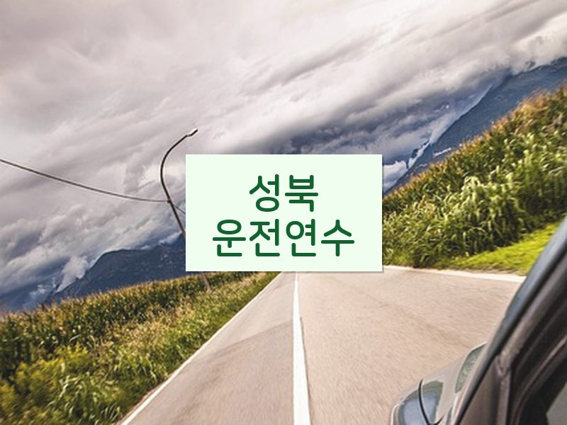 성북운전연수 후기