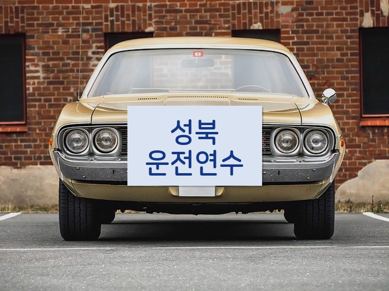 성북운전연수 후기