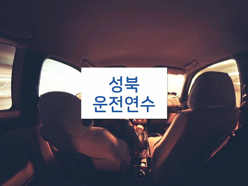 성북운전연수 후기